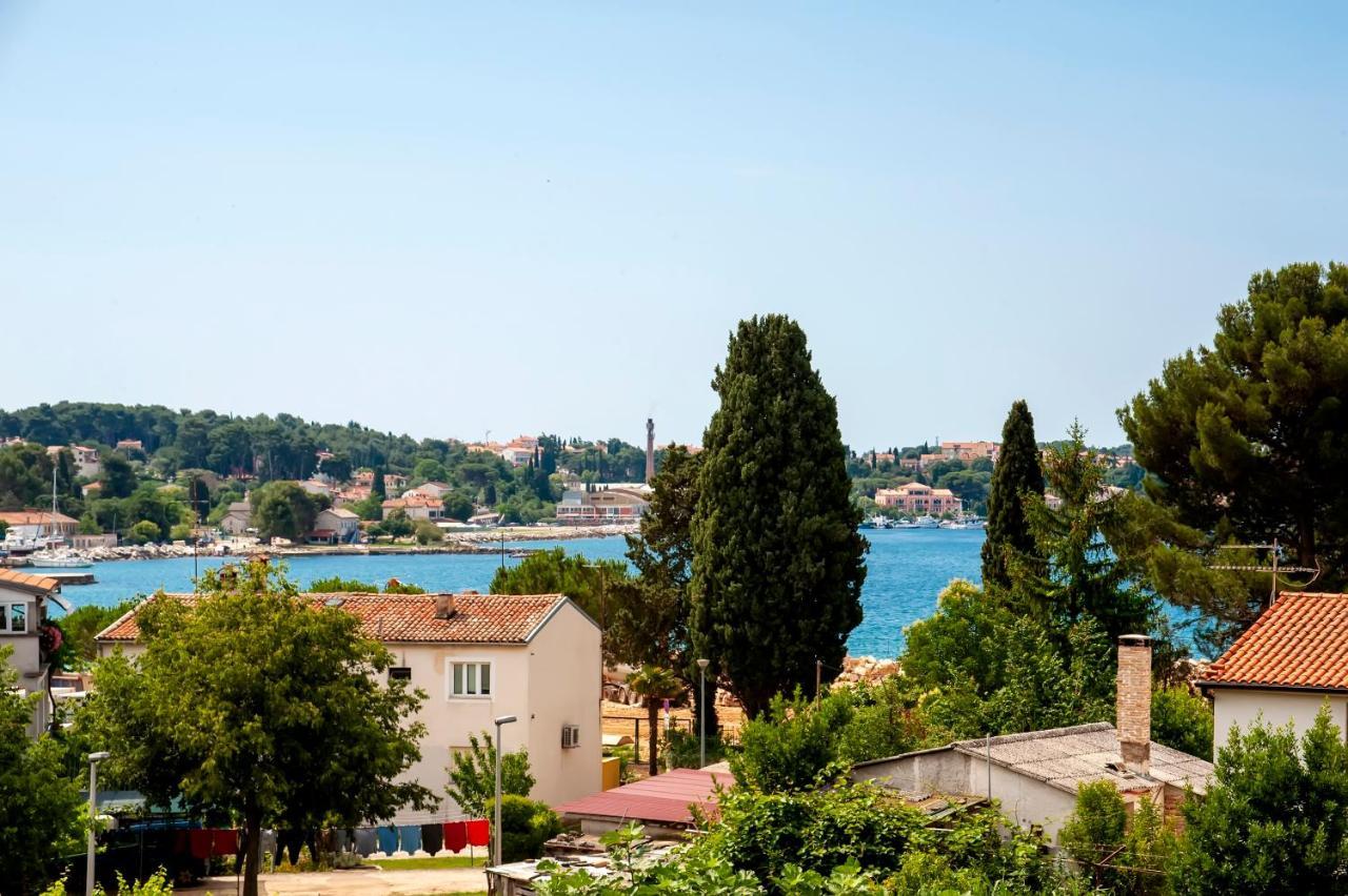Apartment Near Pelagic Sea View